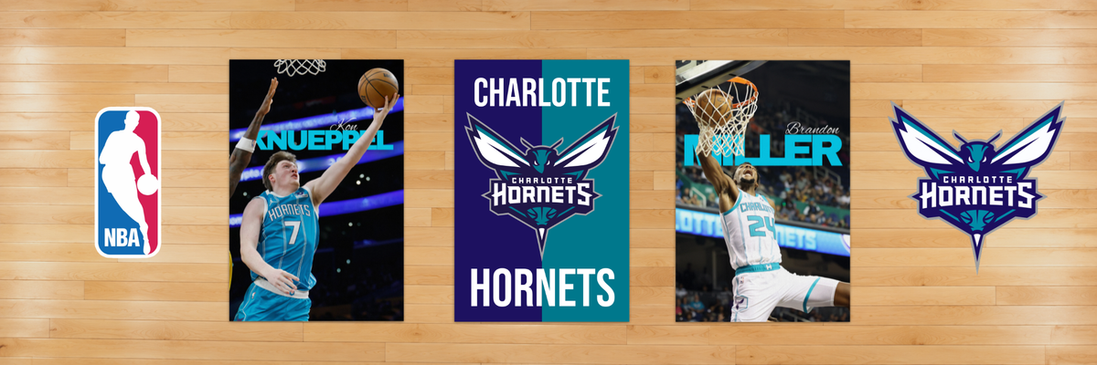 Charlotte Hornets