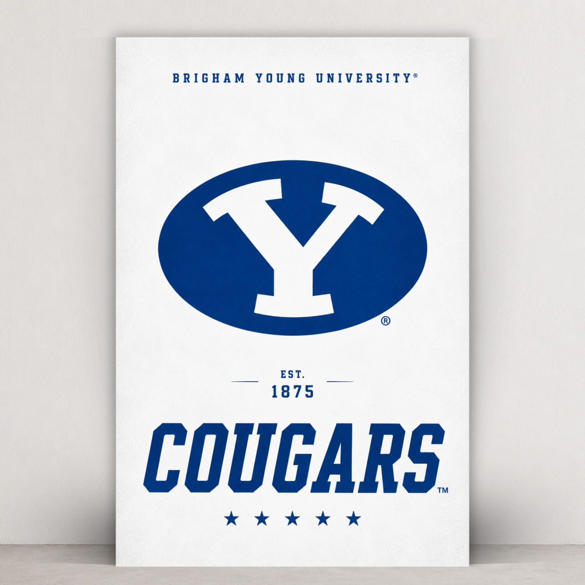 BYU- Whiteout