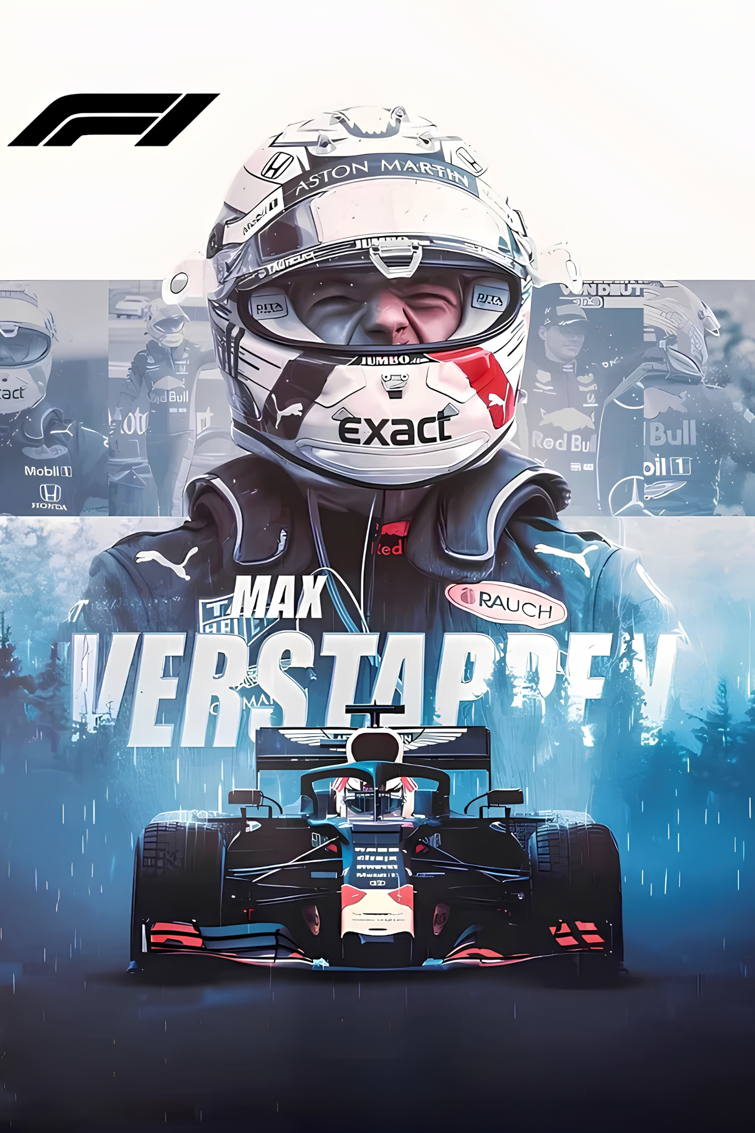 The Rise of Verstappen