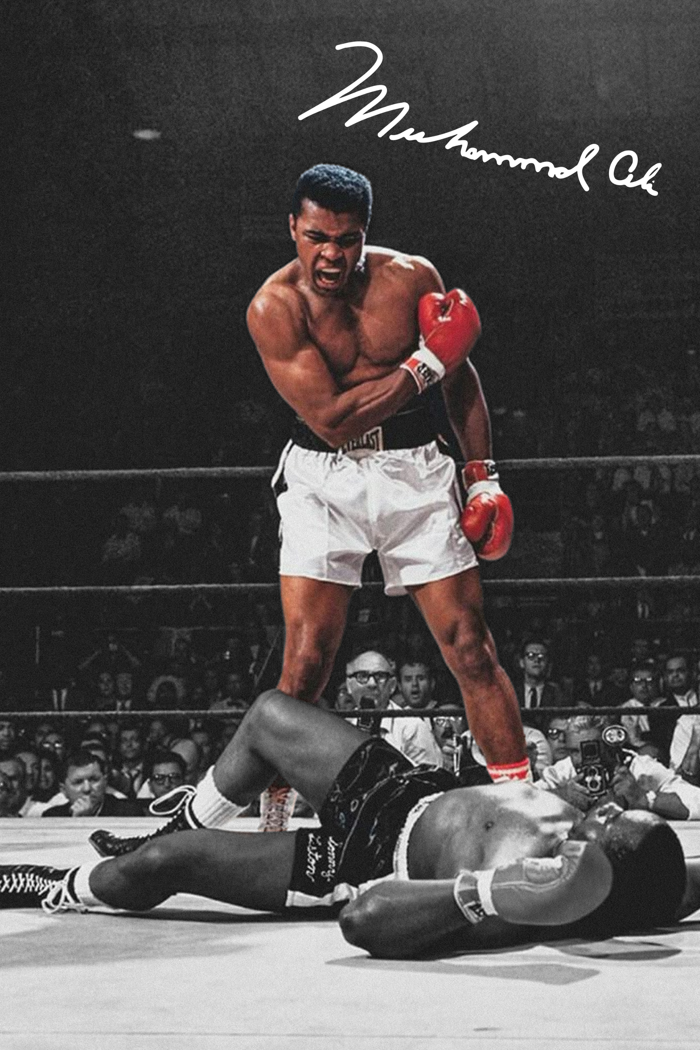 ALI - Full Color