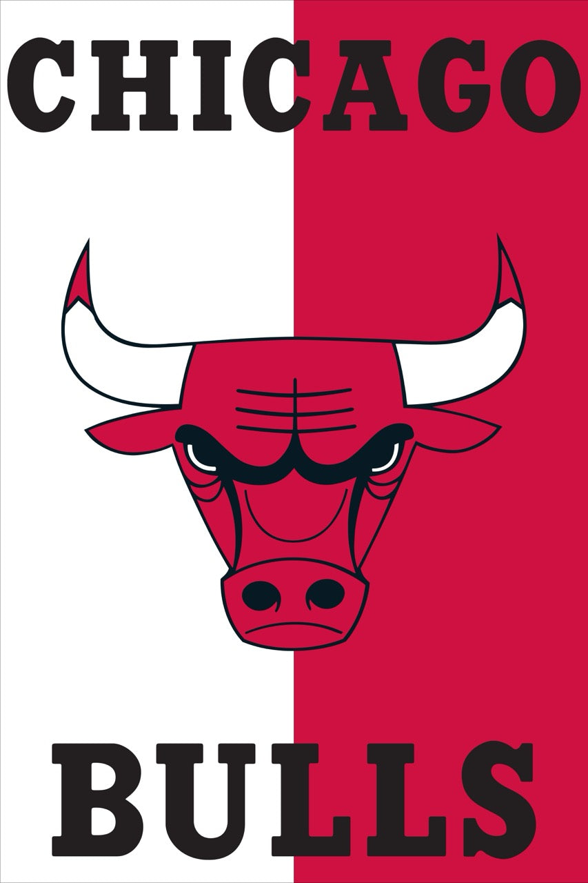 Chicago Bulls - Split Series