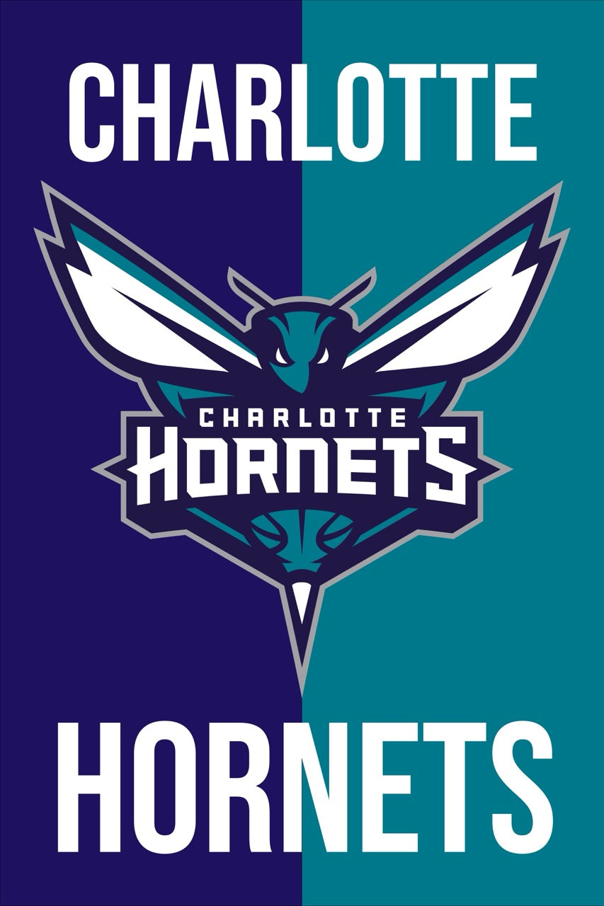 Charlotte Hornets - Split Series