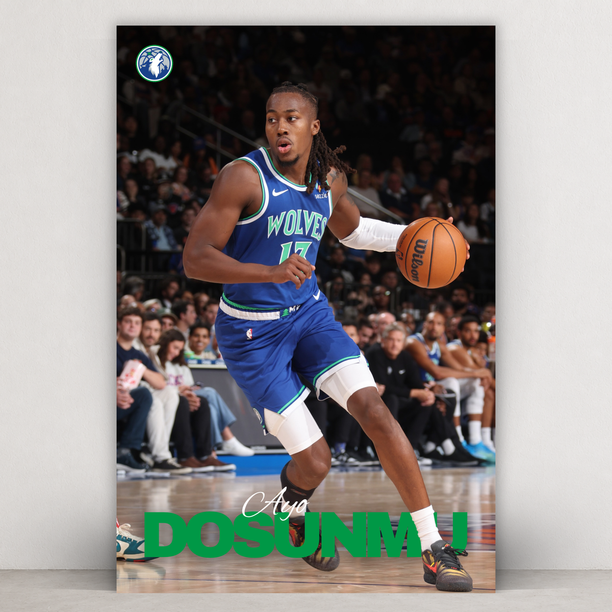 Ayo Dosunmu - Icon Series