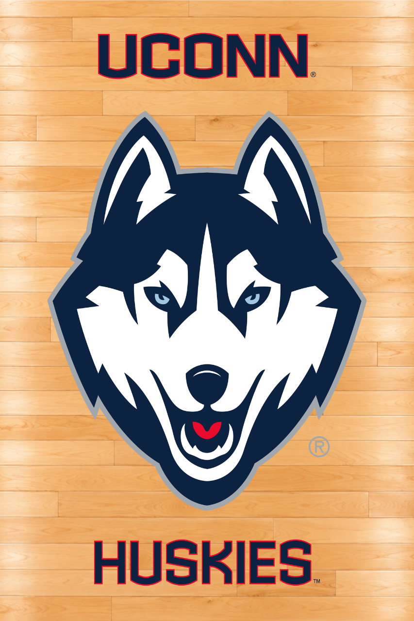 Huskies Court