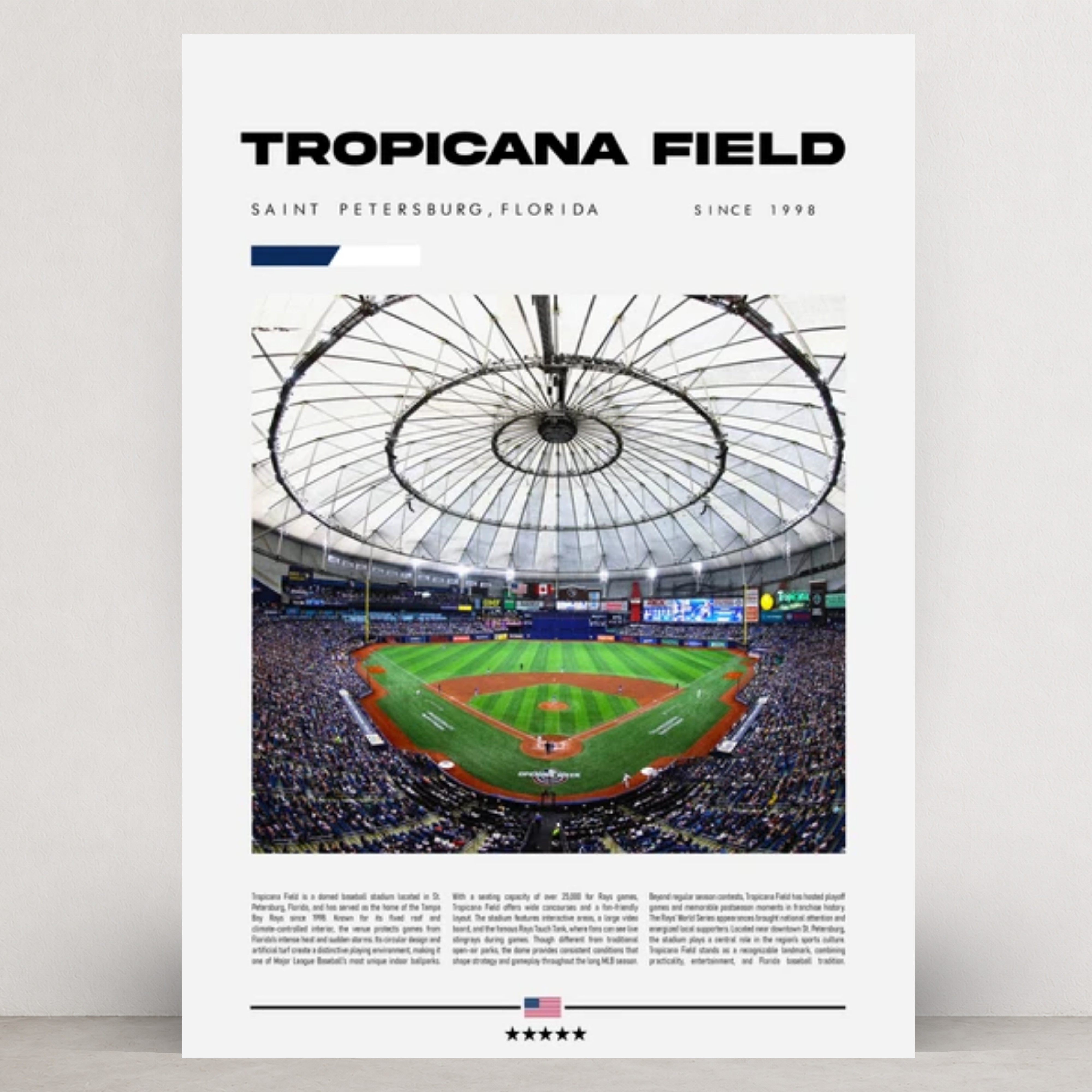 Tropicana Field - Tampa Bay Rays - Stadium Series