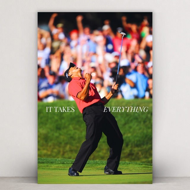 IT TAKES EVERYTHING - TIGER