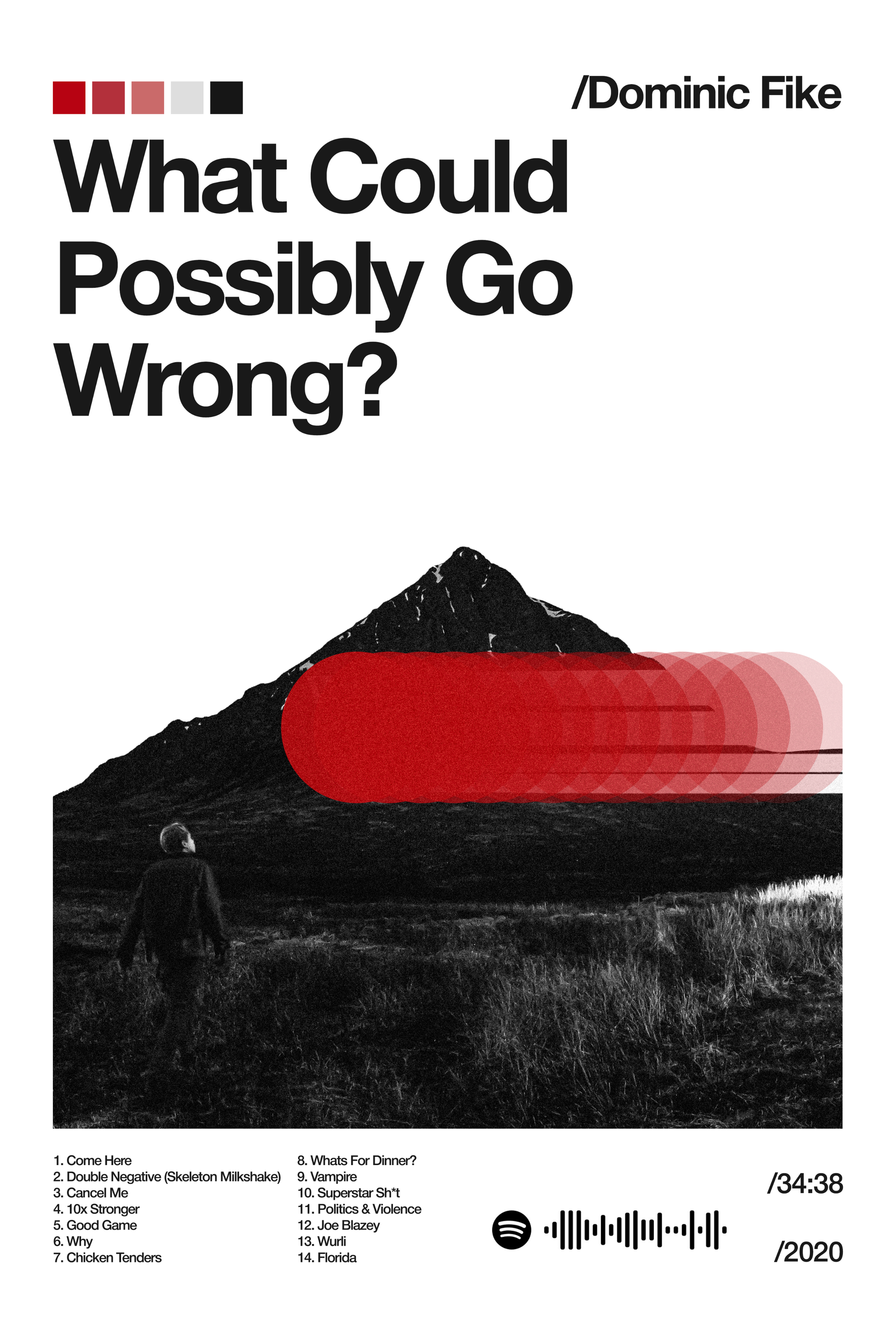 What Could Possibly Go Wrong? - Playback Series