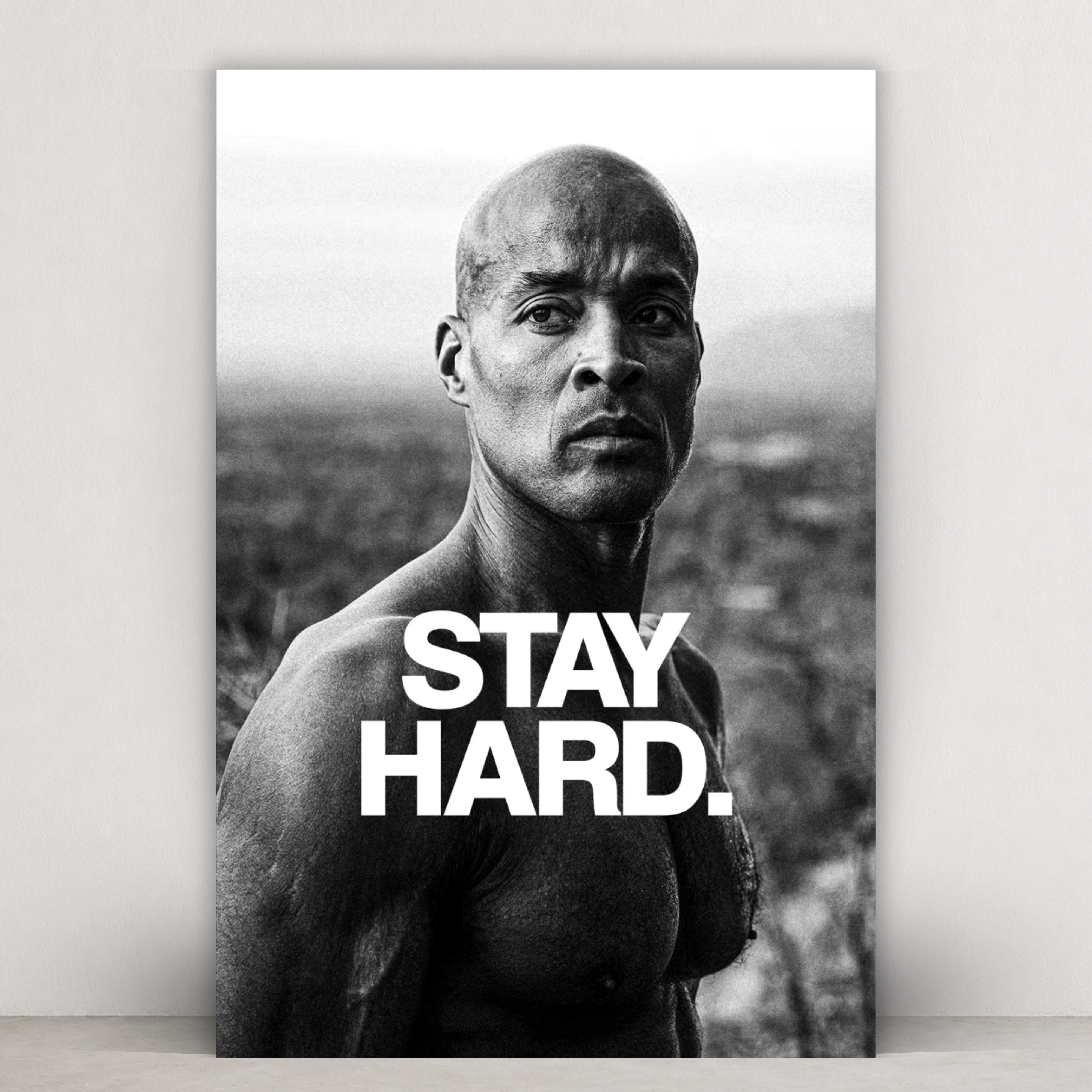 STAY HARD.