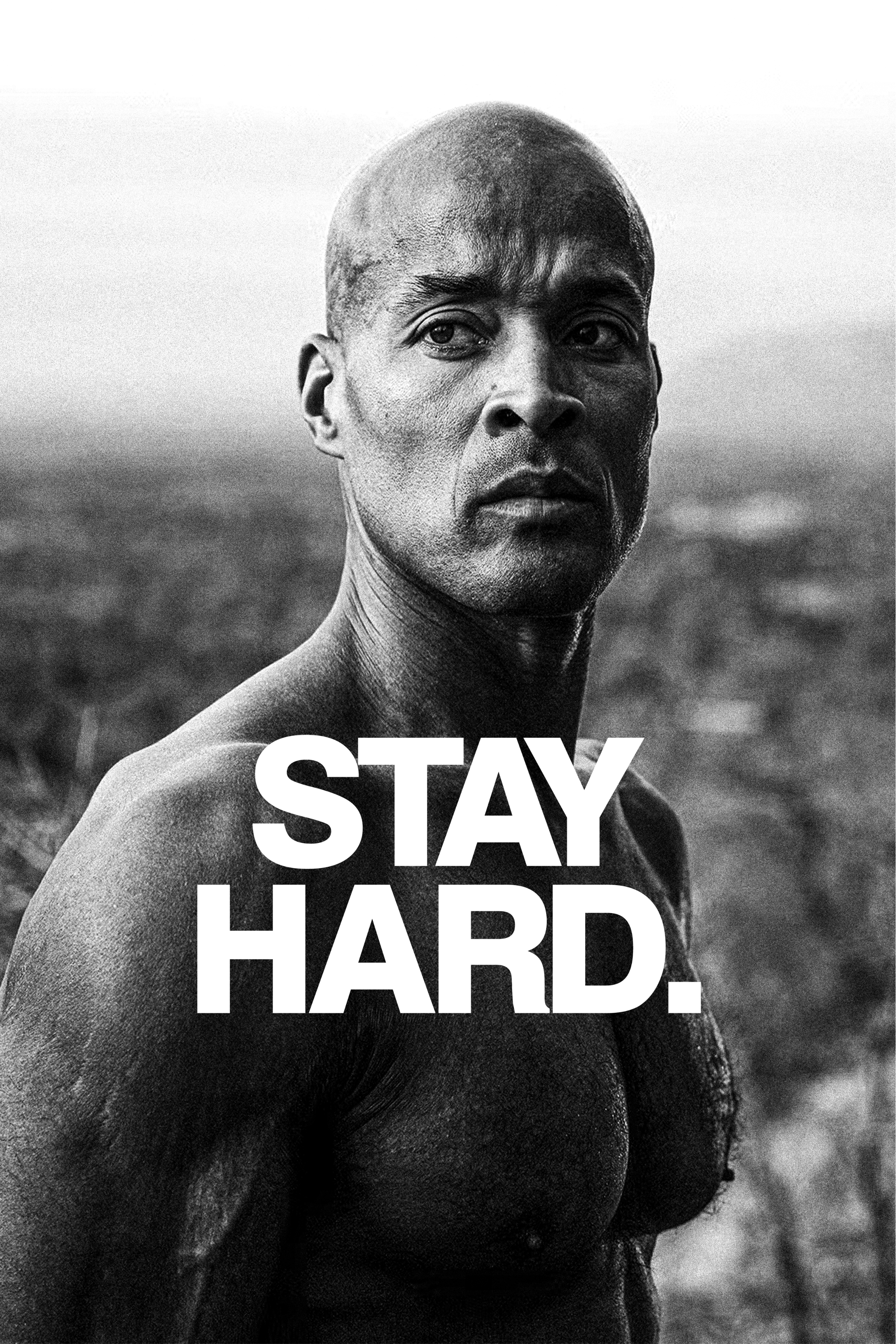 STAY HARD.