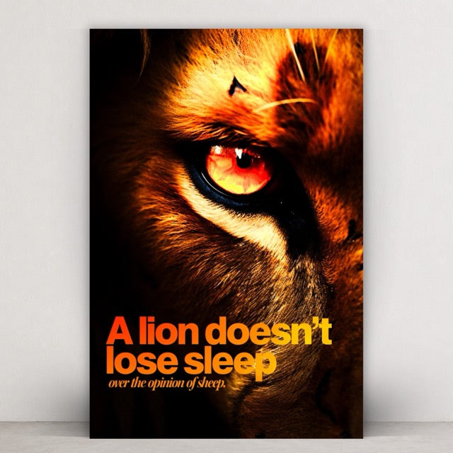 LION > SHEEP