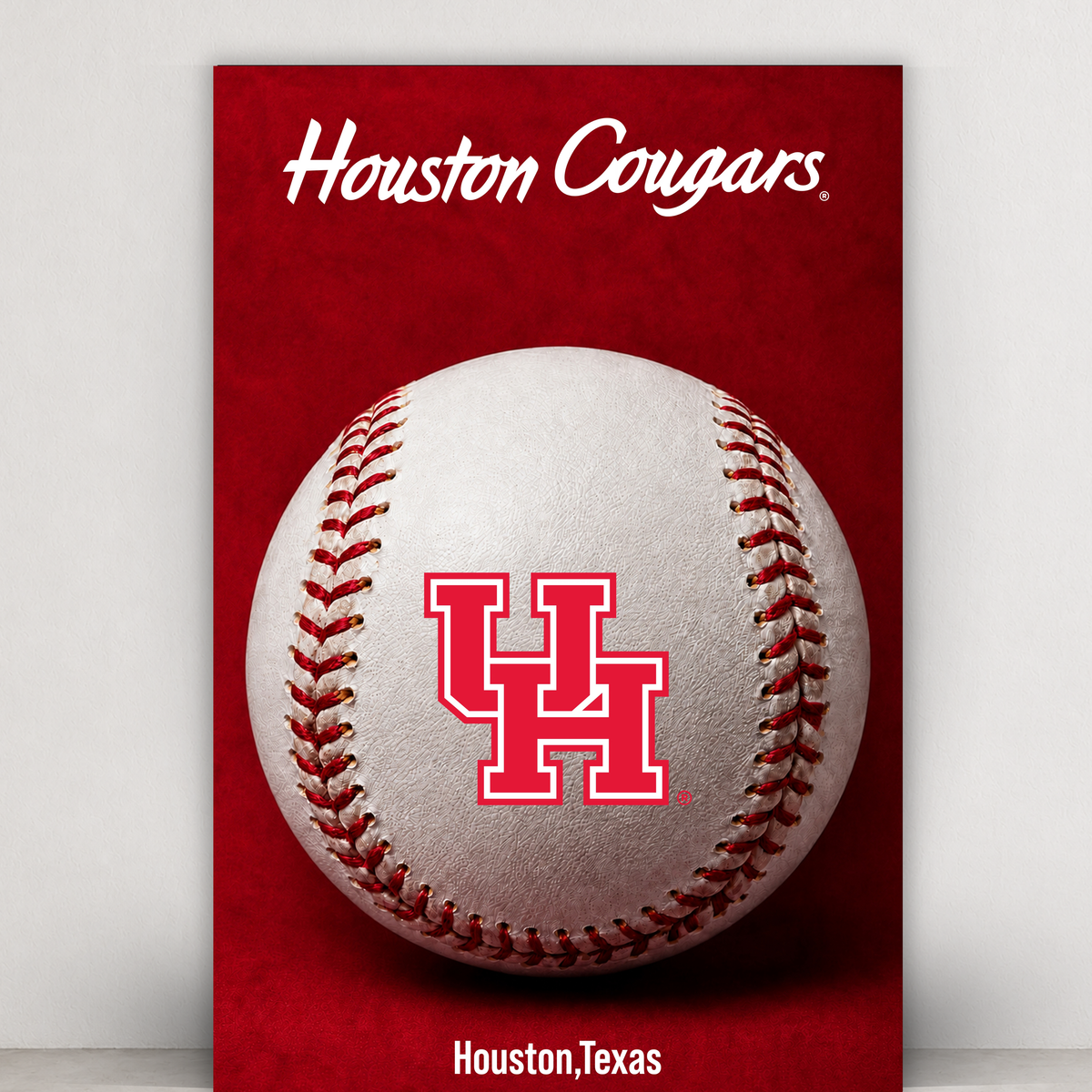 Baseball - Houston