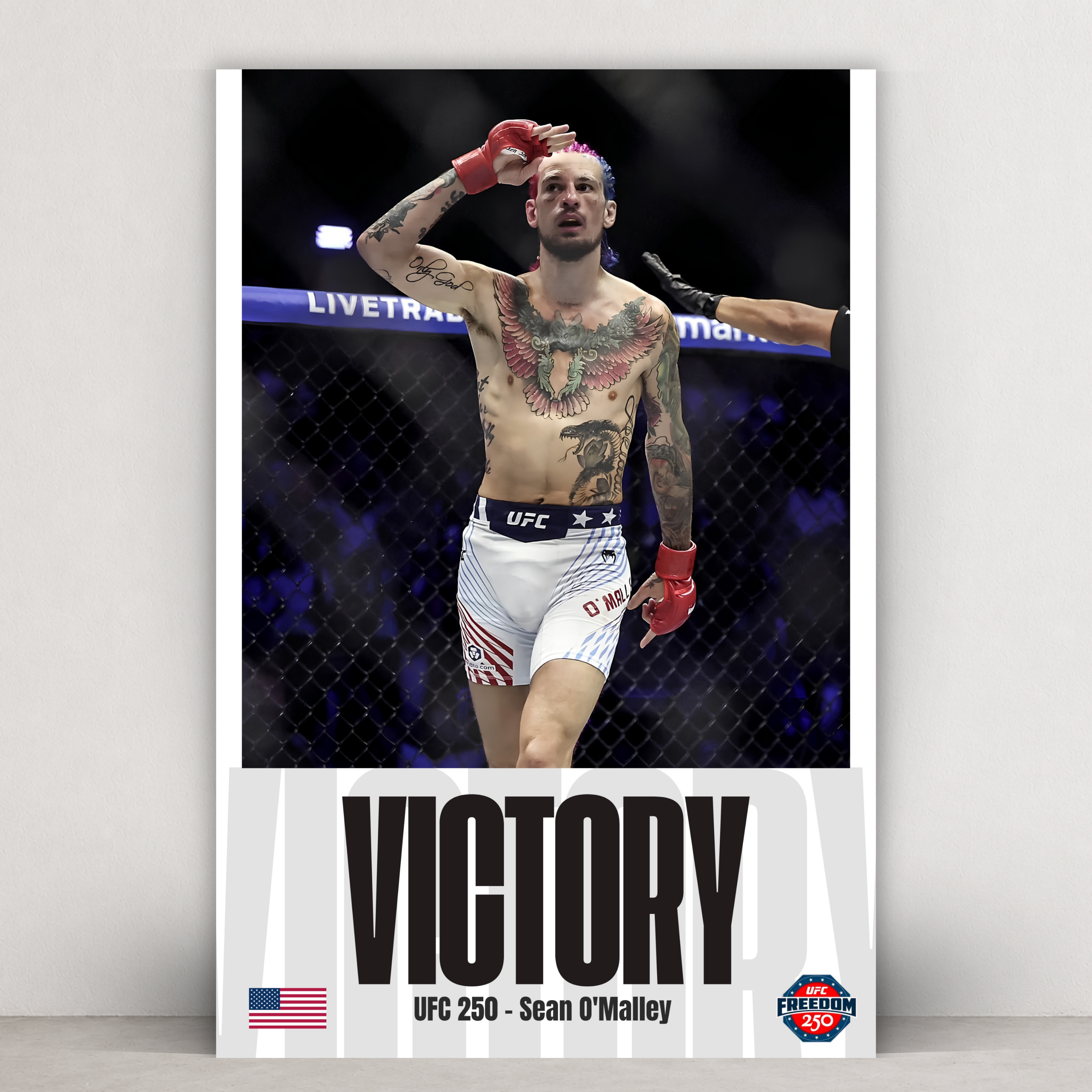 Sean O'Malley - Victory UFC 250