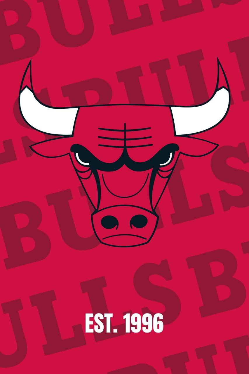 Chicago Bulls - Team Series