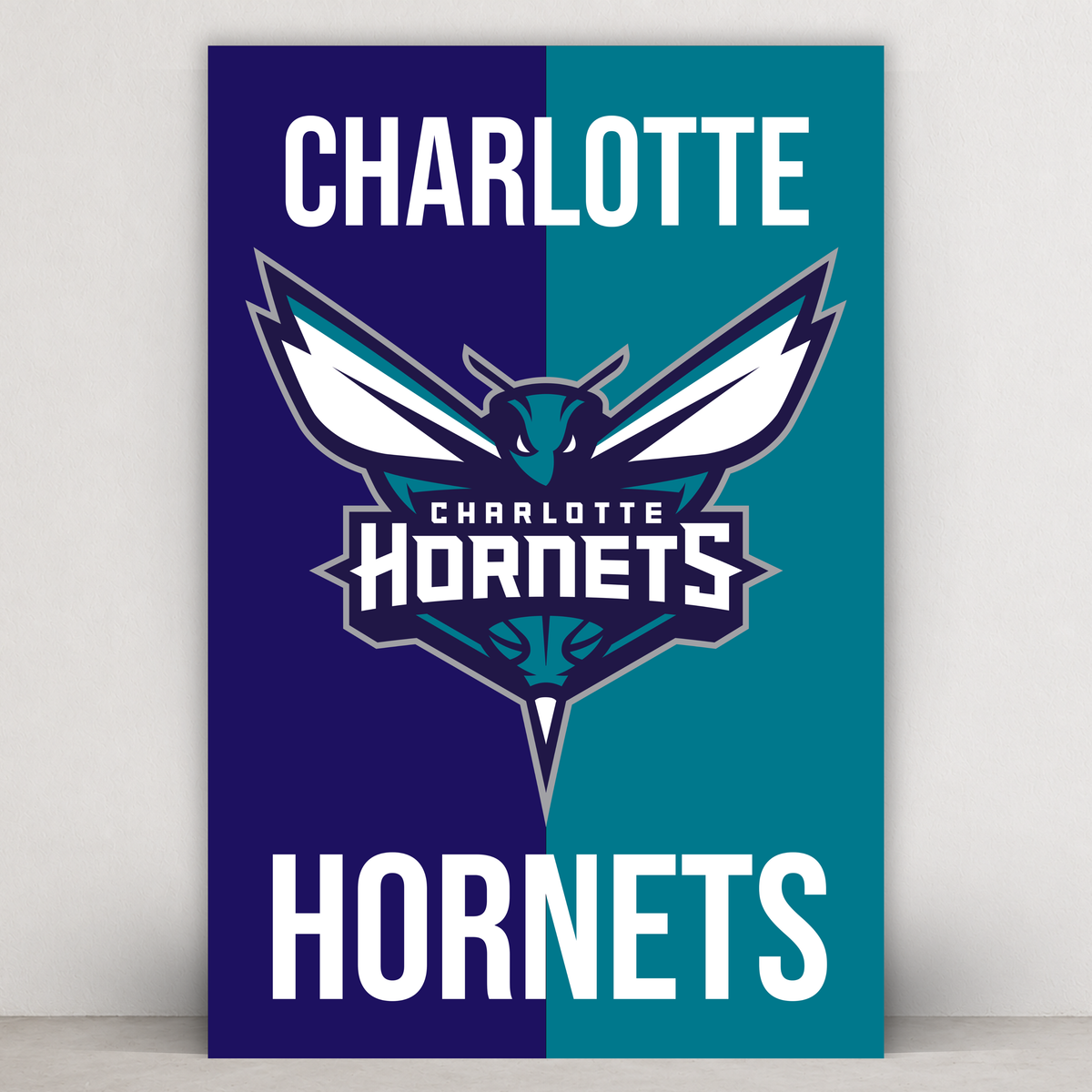 Charlotte Hornets - Split Series