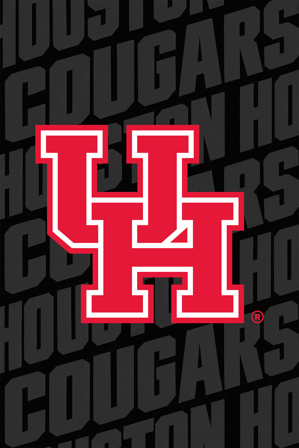 Houston Team Series