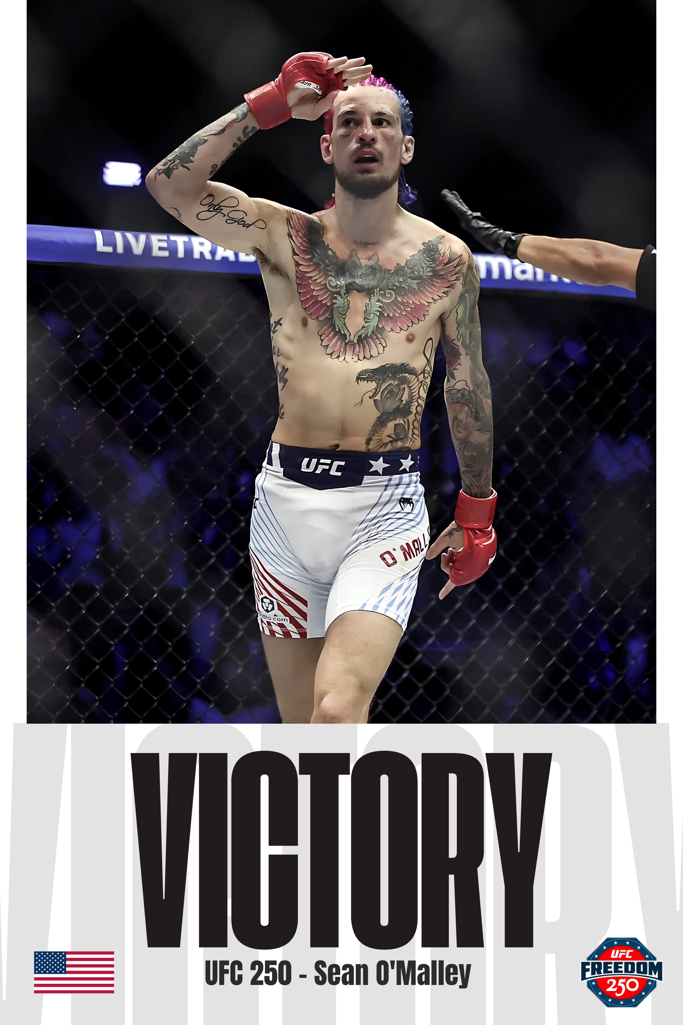 Sean O'Malley - Victory UFC 250