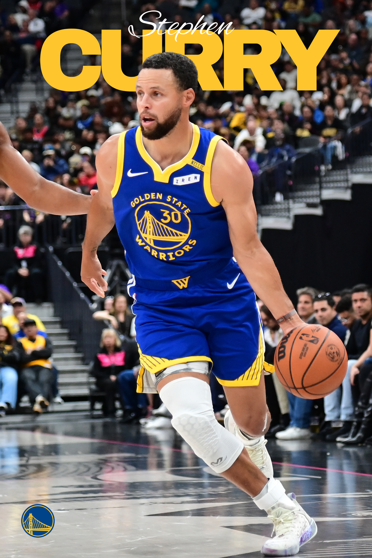 Stephen Curry - Icon Series 2