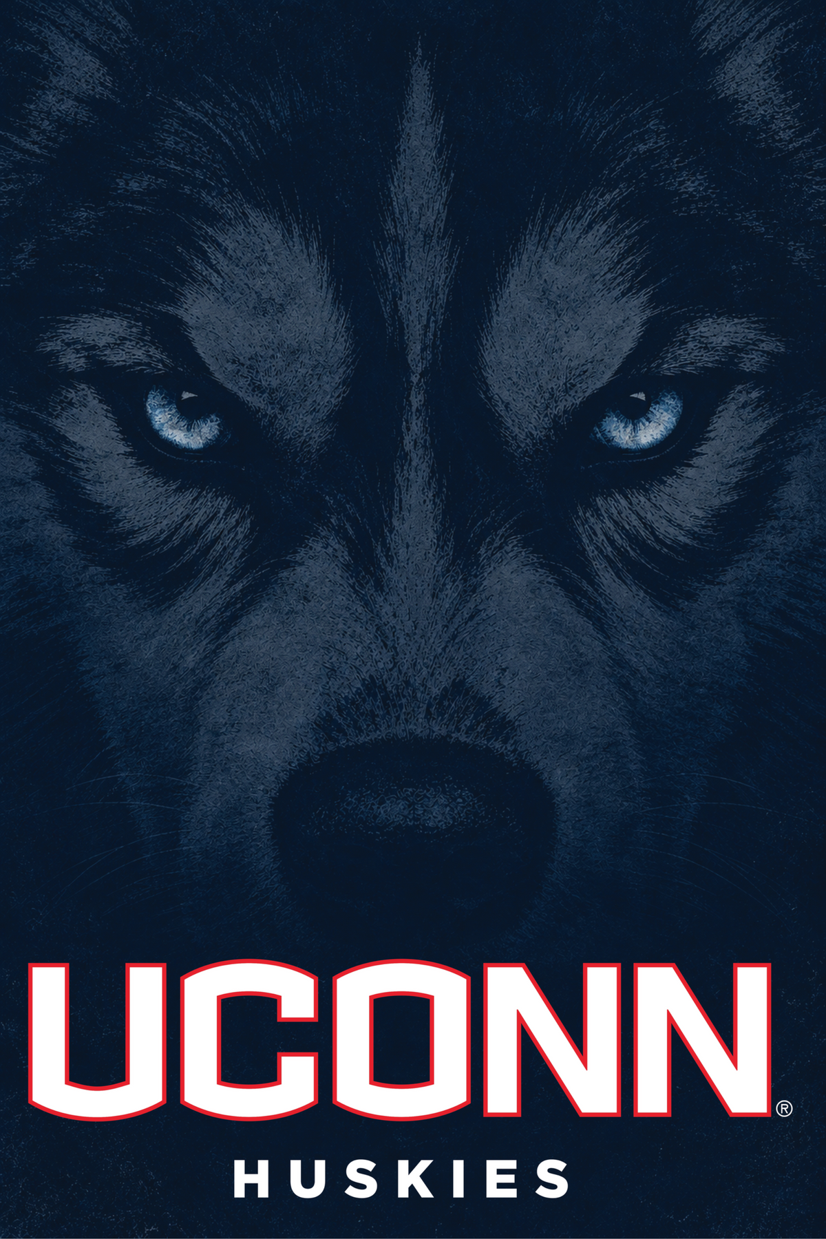 UCONN Huskies