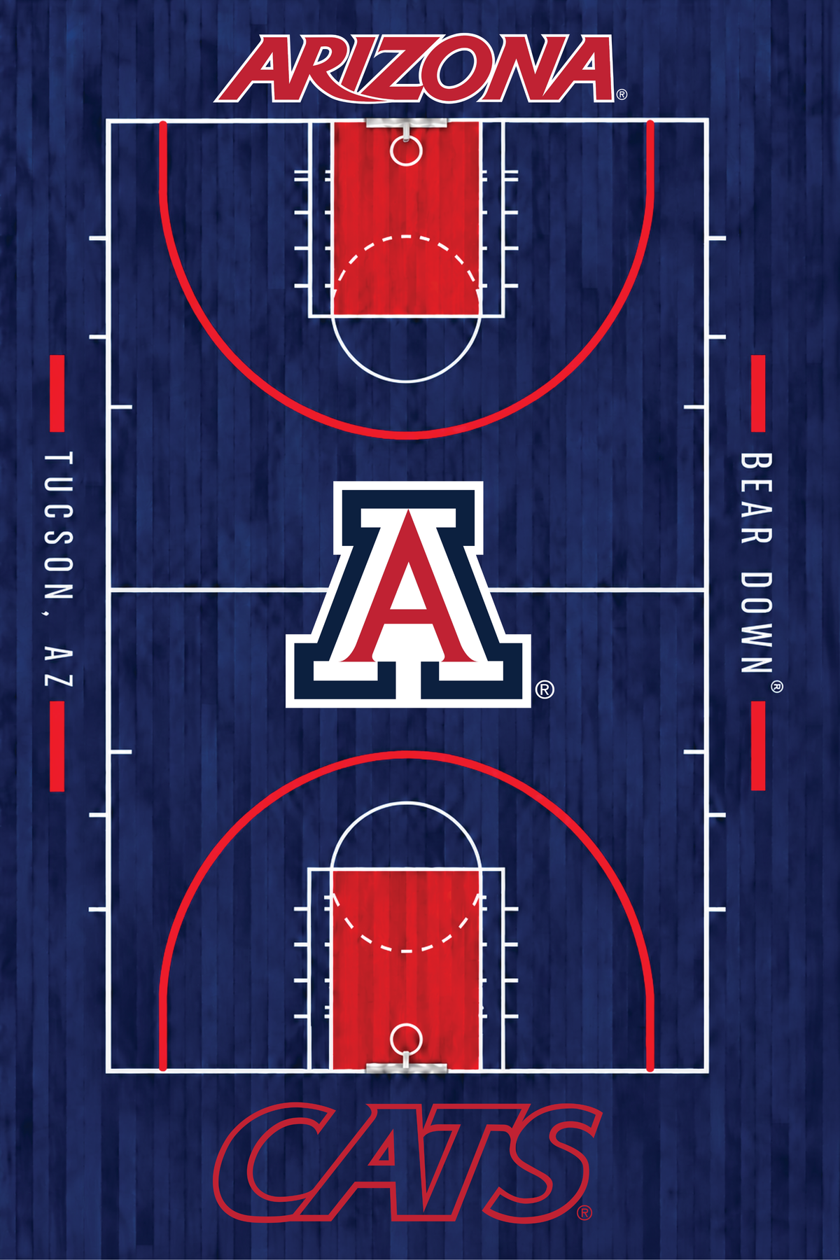 Arizona Basketball Court