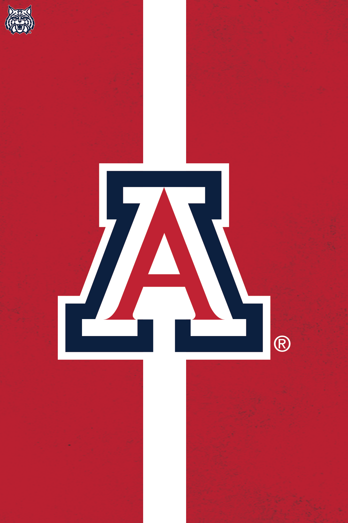 Arizona Pinstripe